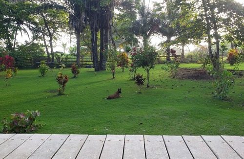 Carate Cabina | Pure Nature, 3 kilometers away from Corcovado Park, La Leona Station