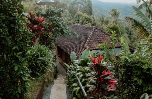 Munduk Casa | Puri Sunny Guesthouse