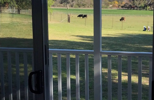 Saumarez Ponds Cabina | Purpose Built Farm Stay Cottage