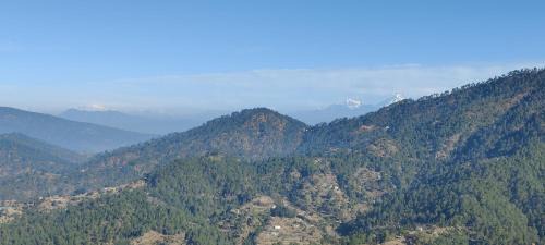 Nathuakhan Complejo | Pushpanjali The Orchid Resort