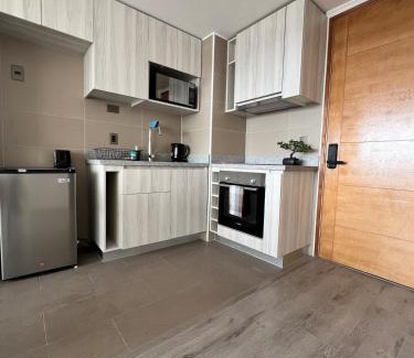 Concepcion Apartamento | PVL b45
