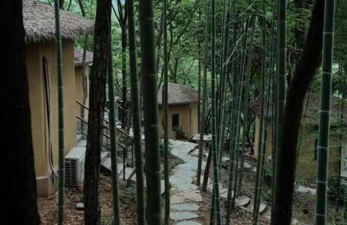 Dujiangyan Hotel | Qingcheng Mountain Jiuxipo · Mountain Stream Bamboo Forest Private Hot Spring Homestay