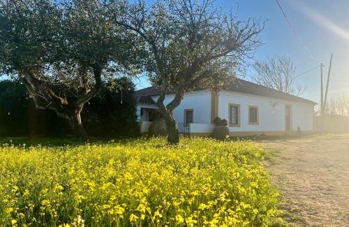 Evora Casa | Qta Casa Seleiras - Guest House