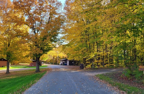 Glenwood City Cabina | Quaint 1-bedroom camper cabin in County Park!