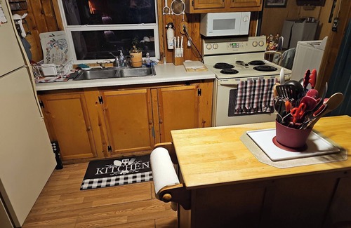 Grayling Cabina | Quaint cottage on 5 wooded acres