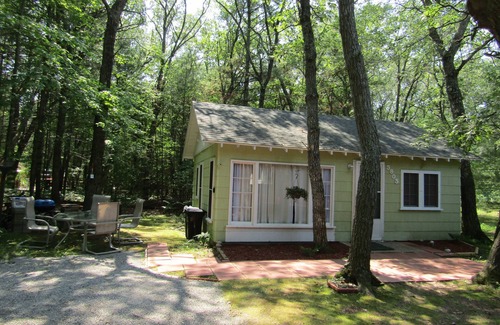 Oscoda Cabina | Quaint Little Cottage in Oscoda near Lake Huron access!