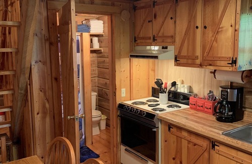 Flat Hollow Marina Cabina | Quaint, Rustic Lakefront Log Cabin on Wooded Lot at Norris Lake ,Private Dock!
