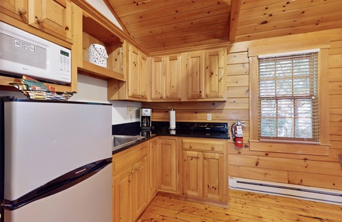 Northport Cabina | Quaint studio cabin near hiking trails with gym & pool table - dog-friendly