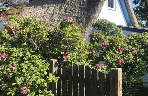 Kalifornien Casa | , Paja, cabaña de pescador pintoresco, a 30 m de la playa