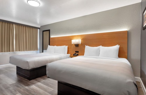 Tampa Hotel | Quality Inn and Conference Center Tampa-Brandon