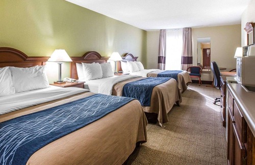 Darien Hotel | Quality Inn Darien - North Brunswick