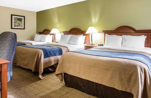 Darien Hotel | Quality Inn Darien - North Brunswick
