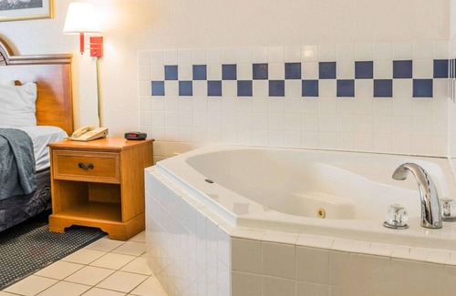 Kalamazoo Hotel | Quality Inn I-94 near Wings Stadium