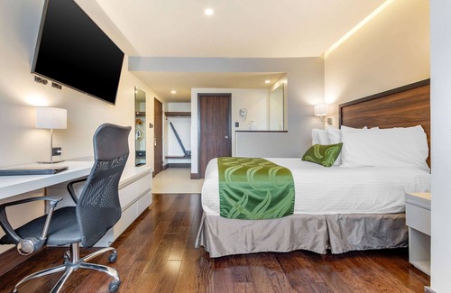 Chihuahua Hotel | Quality Inn San Francisco