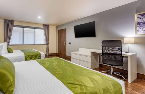 Chihuahua Hotel | Quality Inn San Francisco