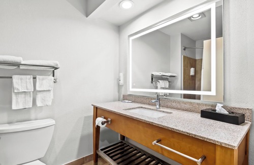 Hollywood Park Hotel | Quality Inn & Suites Airport North - Stone Oak