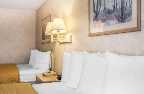 Yuma Hotel | Quality Inn & Suites Yuma