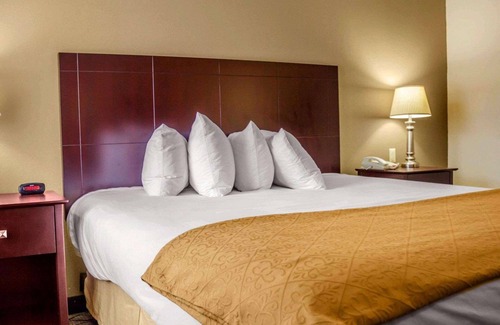 Waterbury Hotel | Quality Inn Waterbury East