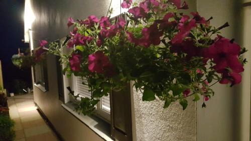 Looe Casa | Quality Self Catering Accommodation Looe Polperro Sleeps 2