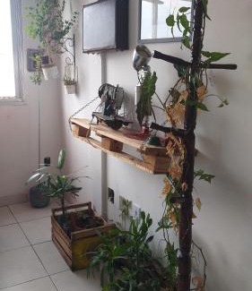 Cidade Baixa Casa | Quarto suite individual Compartilha somente a cozinha com o morador e sua cachorra Chori