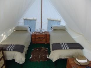 Paterson Otro | Quatermain's 1920's Safari Camp – Amakhala Game Reserve