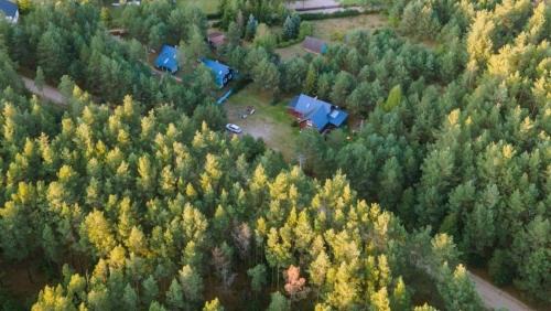 gmina Karsin Cabina | Qubalonka Saunarium Bory Tucholskie