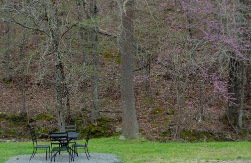 Mount Ida Apartamento | Queen Guest Room located at the Joplin Inn at the entrance to Mountain Harbor, , just 2 1/2 miles from Lake Ouachita. by RedAwning