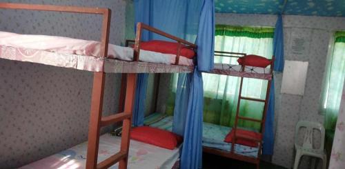 Naga Casa | Quickshape/Quickshield Homestay