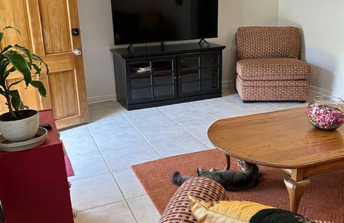 Bayou St. John Apartamento | Quiet 2 BDRM/1 Bath with swimming pool
