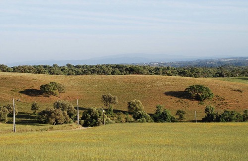 Troviscais Cabaña | Tranquila cabaña en São Luís Alentejo en plena naturaleza