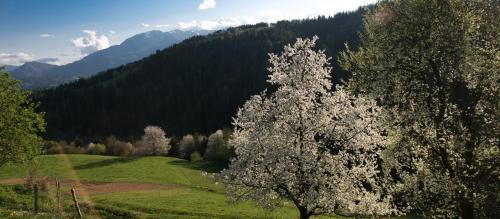 Prevalje Apartamento | Quiet apartment with a terrace on Organic farm