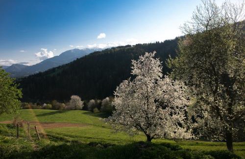 Prevalje Apartamento | Quiet apartment with a terrace on Organic farm