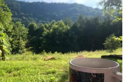 Sylva Cabina | Quiet Cabin: Perfect basecamp for exploring WNC!