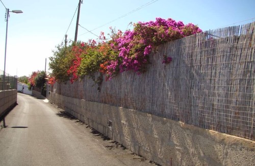 Granadilla de Abona Cabaña | Casa / apartamento rural - Granadilla de Abona