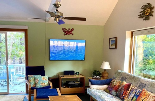 Edgartown Cabaña | Quiet Cozy Cottage in the Woods - Centrally Located