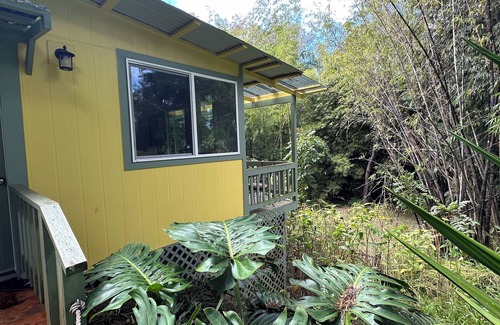 Hawi Apartamento | Quiet eco-friendly studio nestled in Bamboo grove minutes from Hawi town