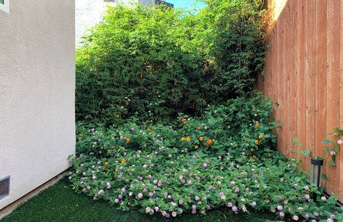 Atwater Village Casa | Quiet Gateway in Relaxing Neighborhood