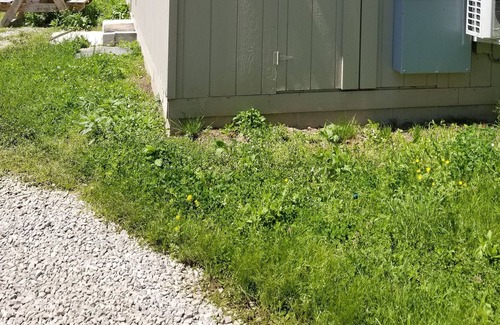 Wilder Cabaña | Quiet Get-a-Way Cottage at The Retriever Retreat