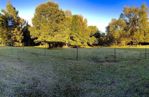 Mineola Casa | Quiet house in the country - 20 minutes from Canton and Lake Fork!