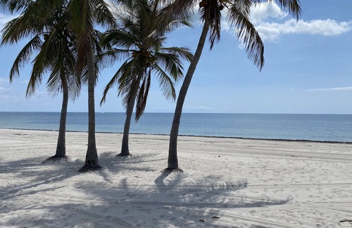 Key Biscayne Condominio | Quiet Key Biscayne Apartment Home