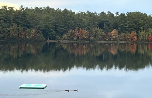 Acton Cabina | Quiet Lake House