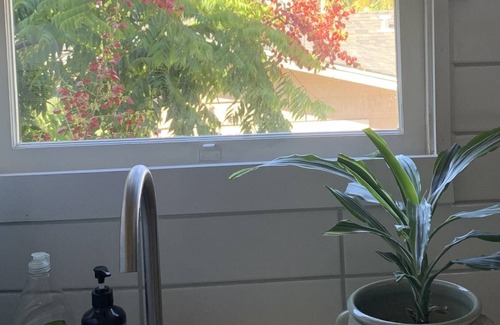 North Park Cabaña | Quiet Oasis In North Park Close to Area Beaches, Gaslamp, Zoo and Balboa Park