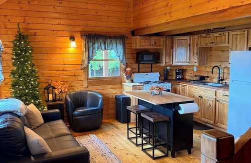Delevan Cabina | Quiet Secluded Hilltop Log Cabin on a Gravel Road