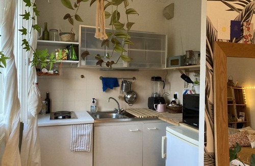 Moulin du Comte Apartamento | QUIET STUDIO near town center facing park/river vilaine :)