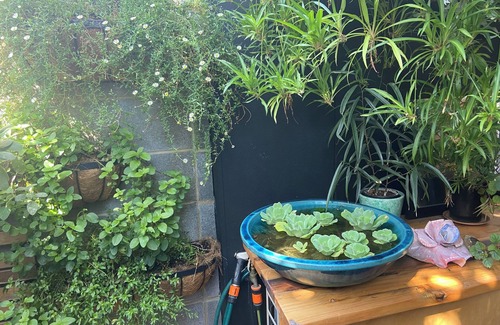 Coburg Apartamento | Quiet Urban Oasis. Central to both City and Parkland. Easy Ground floor access