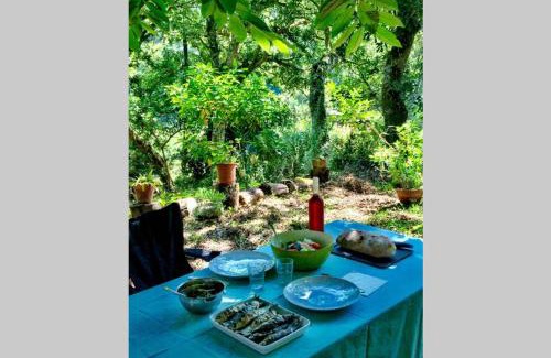 Ulgueira Apartamento | Quinta biológica, com vista, na Serra de Sintra