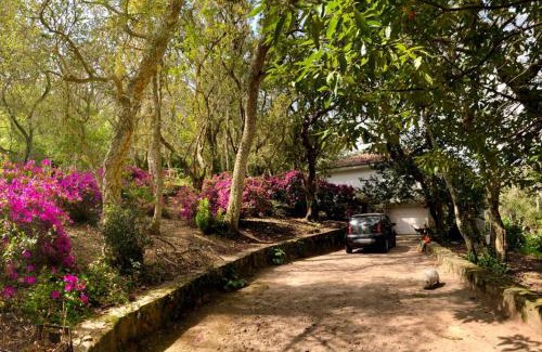 Ulgueira Apartamento | Quinta biológica, com vista, na Serra de Sintra