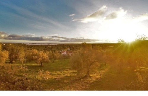 Santo Estevao Casa | Quinta Braz 5 Stars.