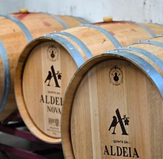Arganil Casa | Quinta da Aldeia Nova
