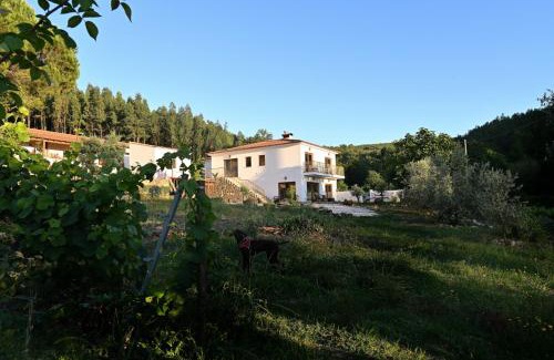 Arganil Casa | Quinta da Aldeia Nova